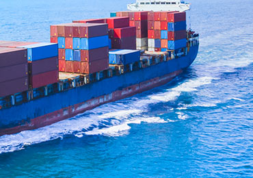 https://flowtrack-cms.mnsithub.com/powerful-logistic-platform